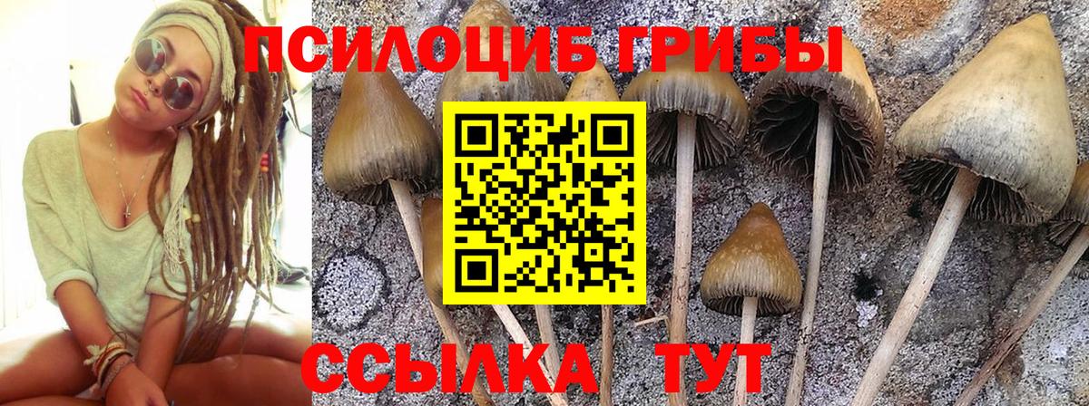Бугульма  Псилоцибиновые грибы ЛСД  Вход с VPN 