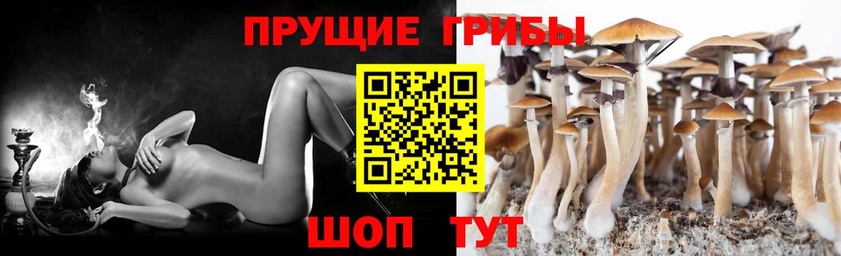 Псилоцибиновые грибы мухоморы Бугульма