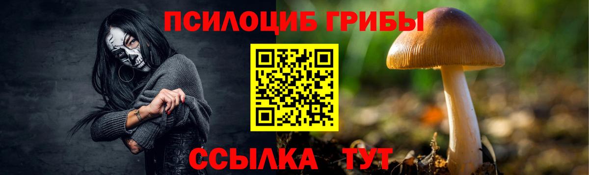 Галлюциногенные грибы прущие грибы Бугульма